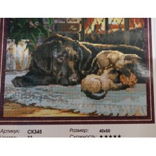 Dimantu izšūšana (mozaīka): suns un divi kaķēni Dimantu izšūšana (mozaīka): suns un divi kaķēni